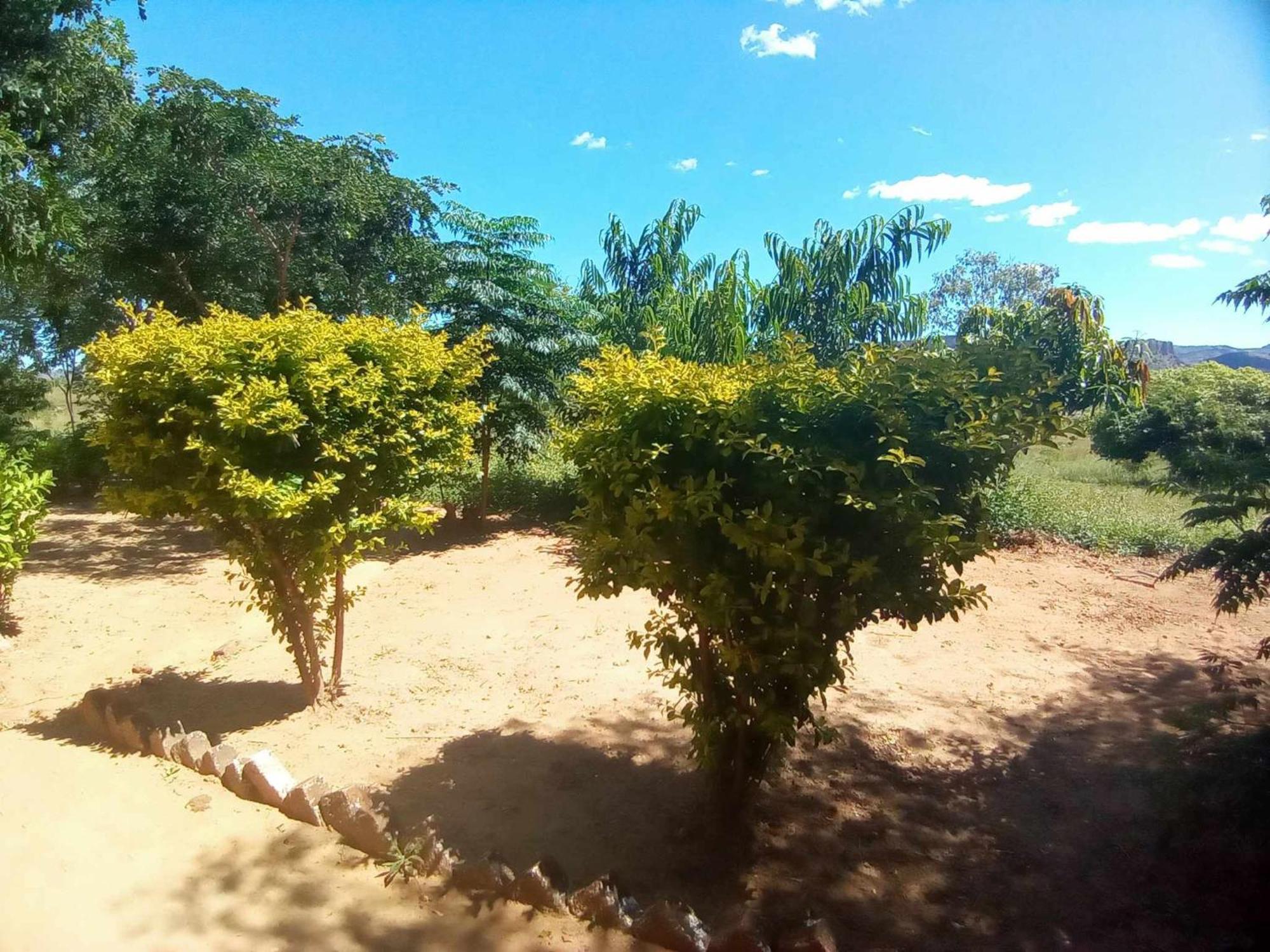 Ecolodge D'Isalo Ranohira Luaran gambar